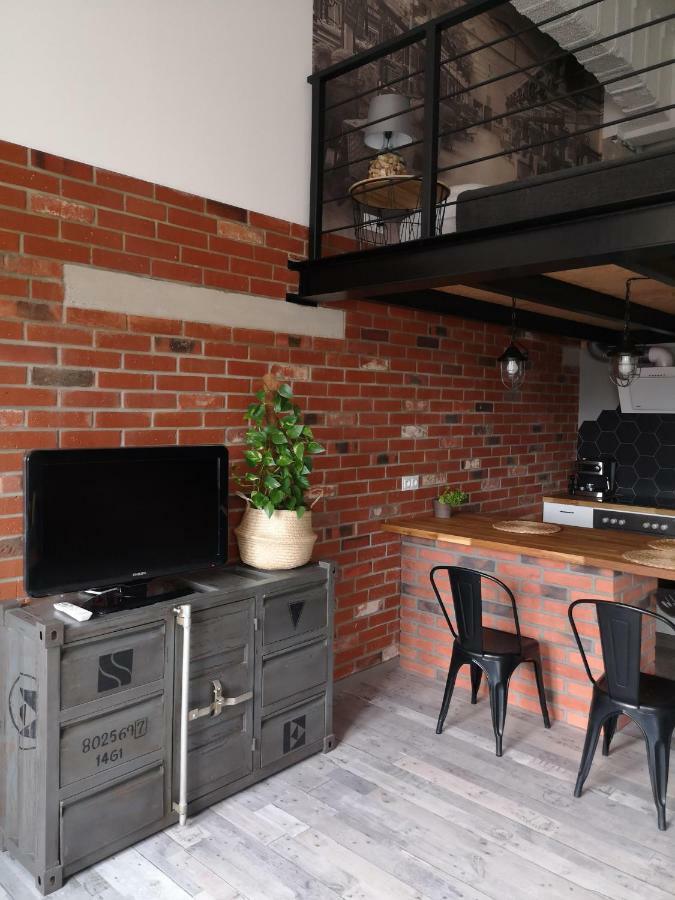 Loftstyle Apartament Zyrardow Exteriér fotografie