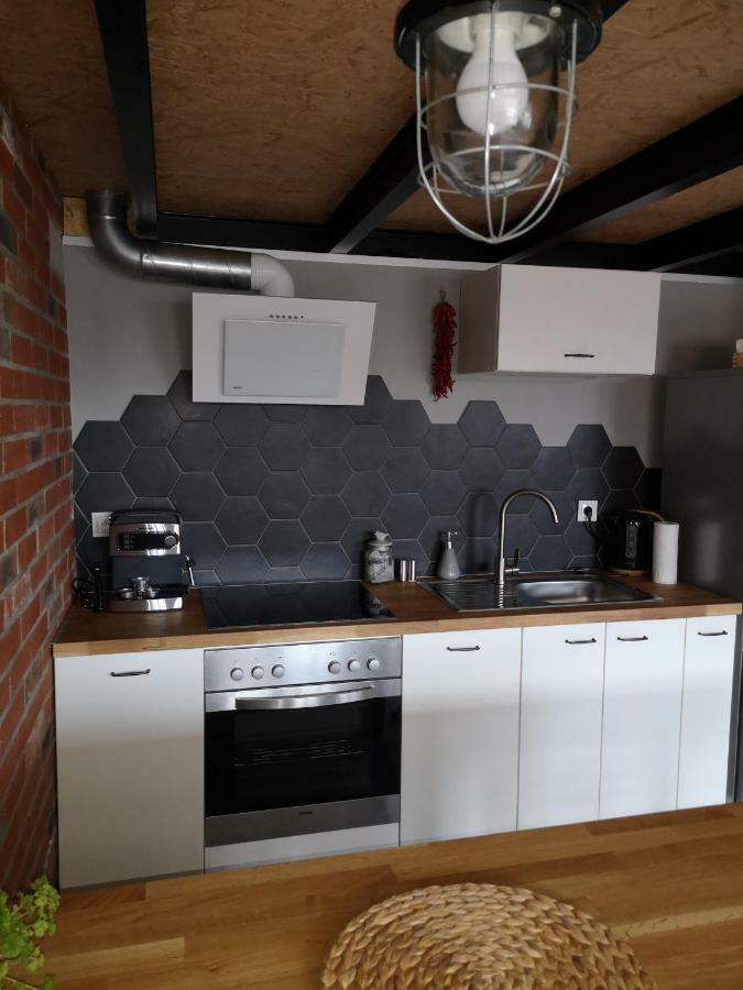 Loftstyle Apartament Zyrardow Exteriér fotografie
